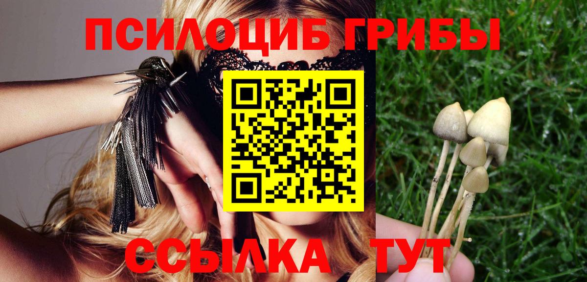 Галлюциногенные грибы ЛСД Балабаново